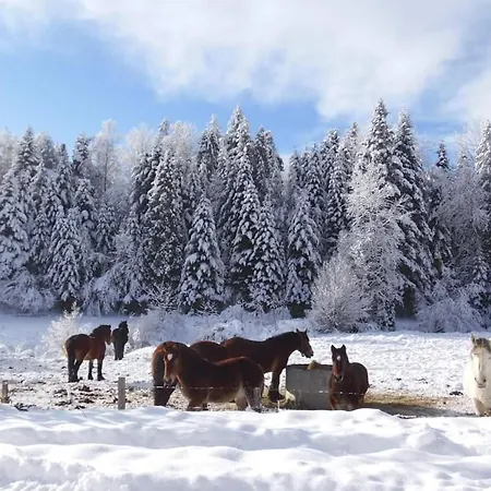 Osada Na Granicy - Domki W Bieszczadach Ustrzyki Dolne Exterior foto