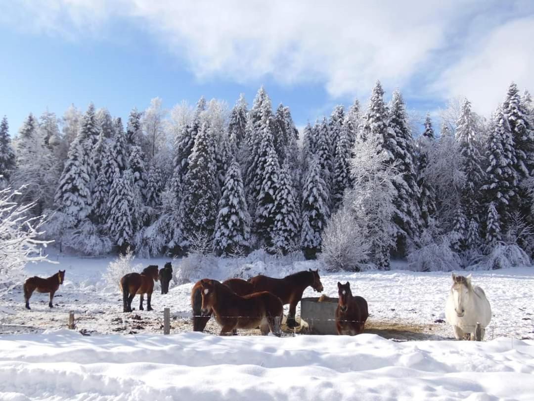 Osada Na Granicy - W Bieszczadach Ferienhaus *