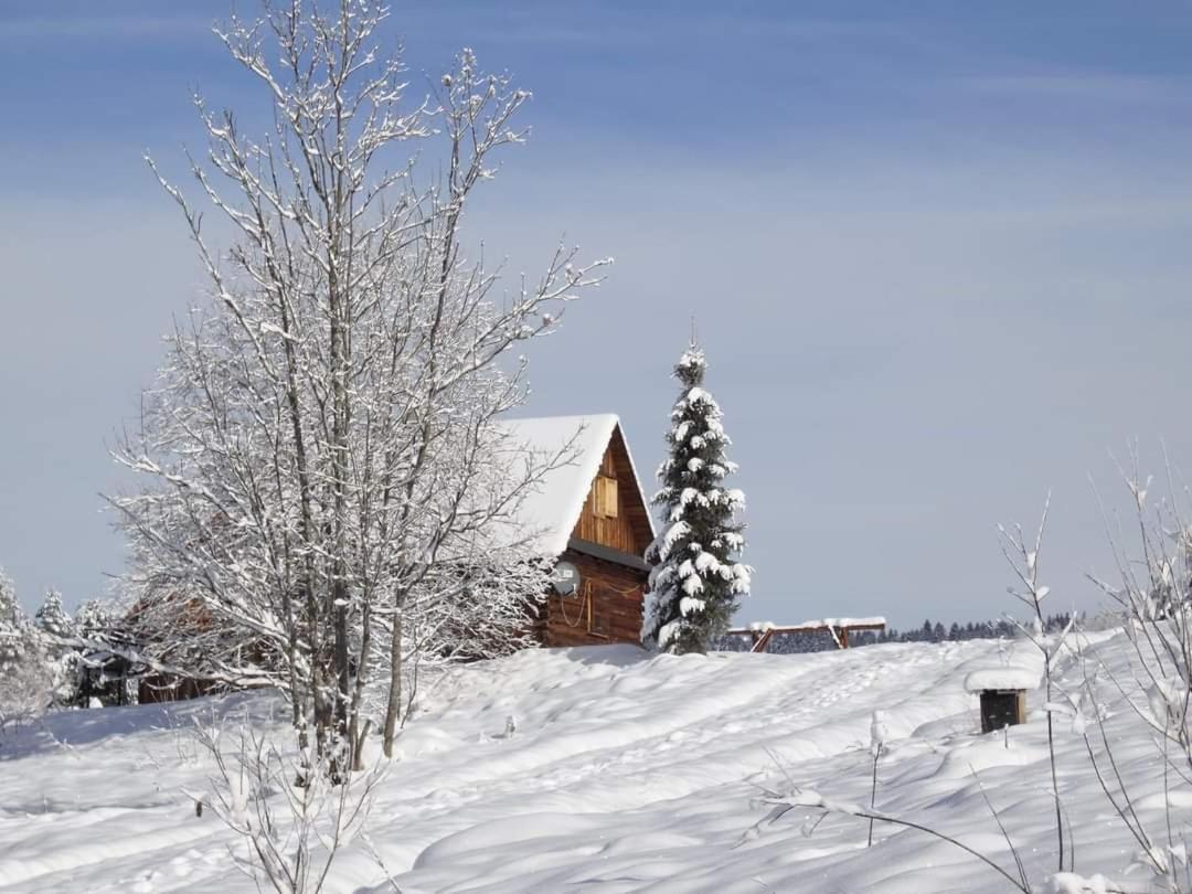 Osada Na Granicy - W Bieszczadach Ferienhaus