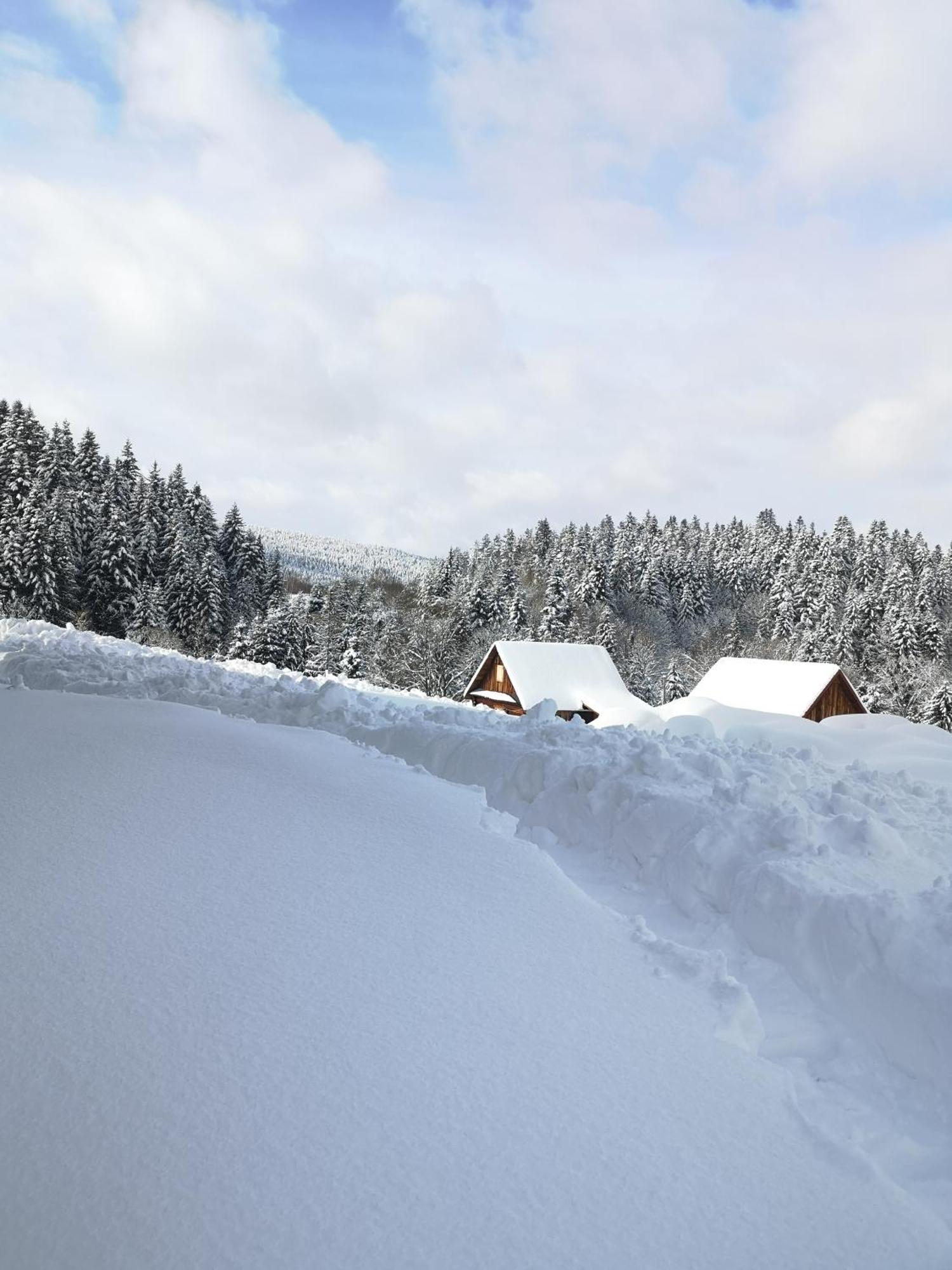 Osada Na Granicy - W Bieszczadach Ferienhaus Ustrzyki Dolne