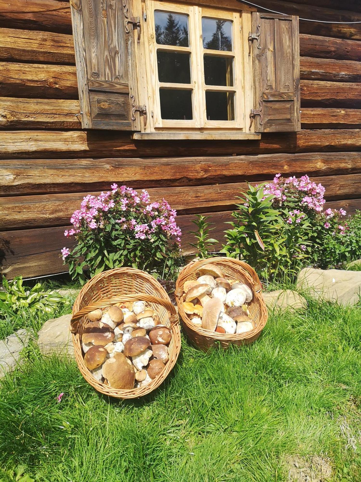 Osada Na Granicy - W Bieszczadach Ferienhaus