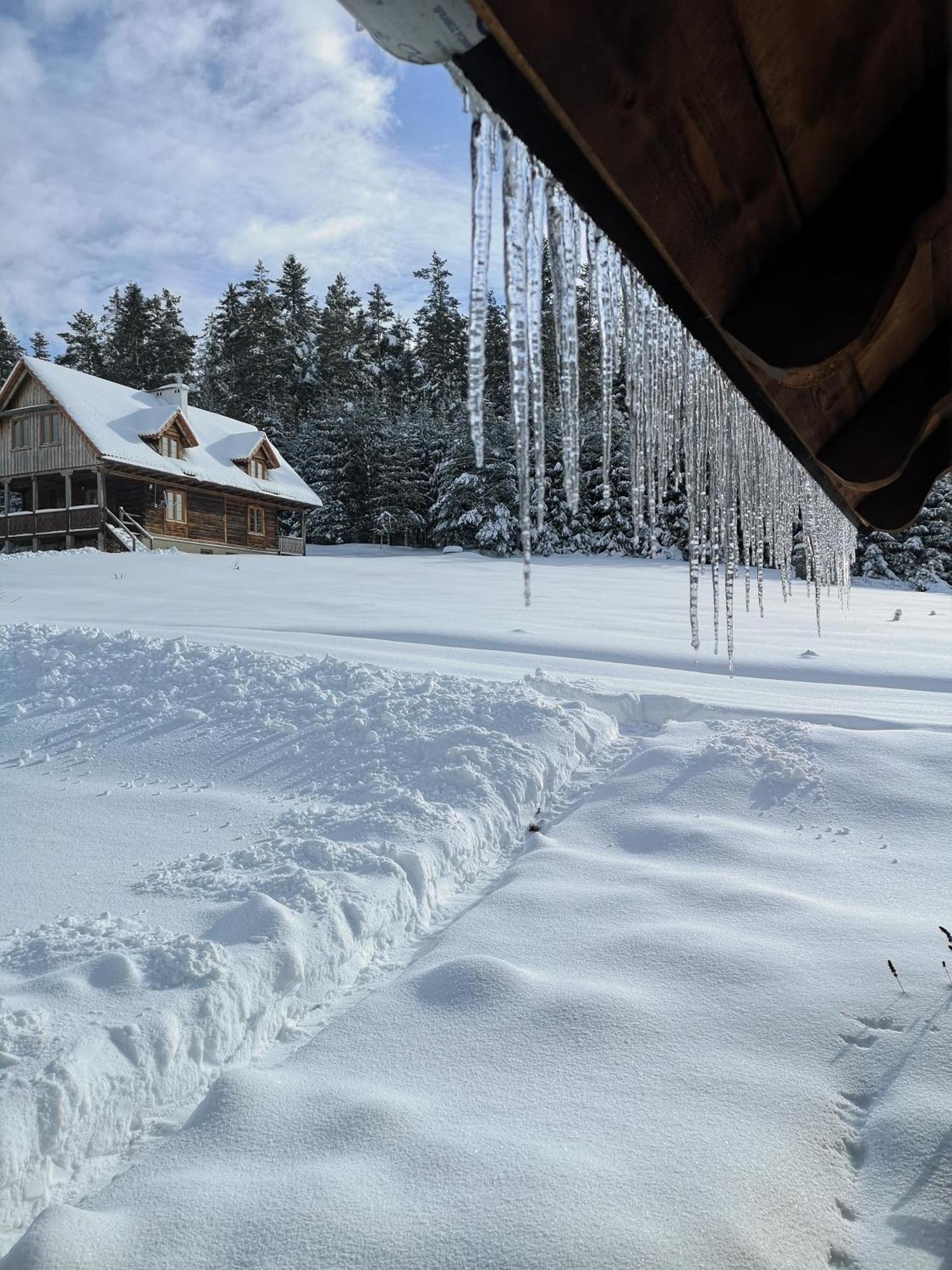 Osada Na Granicy - W Bieszczadach *